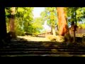 aikido,deadly arts,
