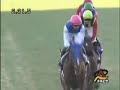 Final 400 metrosさいご　400 メートル2008 Deciembre 282008 12月　28日Dinero de premio 346,560,000円しょうきん 346,560,000円2500 metros　メートルTiempo タイム 2:31.51.ダイワスカーレット Daiwa Scarlet2.アドマイヤモナーク Admire Monarch3.エアシェイディ Air Shady