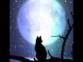 Ravenwhisker's Story