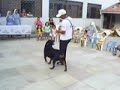 Show de adestramento na Pet Terapia da ACEC - Dr. Dog! Show de adestramento na Pet Terapia da ACEC - Dr. Dog!
