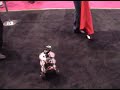 VERY cool little robot from Ologic