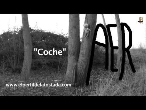 Imagen de previsualización de YouTube