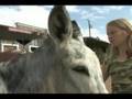 Official Best Horseback Riding by OFFICIALBESTOF.COM TV