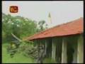 Wanni Operation12/01/2008 / Kokavil liberated- another LTTE bastion on A-9 falls