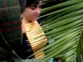 africando las palmas