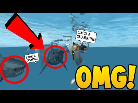 Double Sharks In The Water Roblox Sharkbite Minecraftvideos Tv