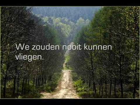 De vlinder en de cocon