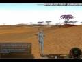 March of the Warlocks.wmv