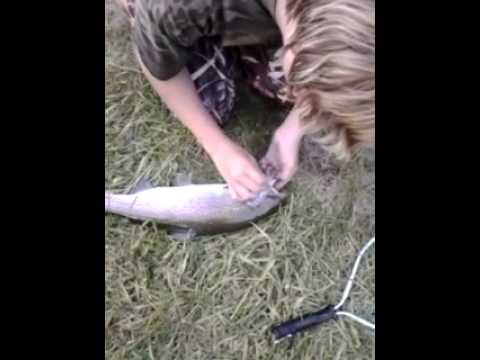 Beeg - Geno expertly catching a big trout with special guest Steven on the net/fish launcher.