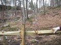 Case Mountain fence