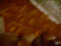 giochi fra cani e gatti