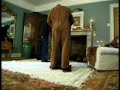 Trigger Happy TV - Chimneysweep