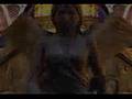 Final Fantasy - Mad Video Final Fantasy - Mad Video