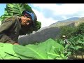 chicamocha - pescadero