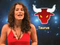 Free Daily Horoscope Taurus