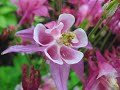 My Photography