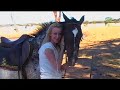 The Farmstay Trailer