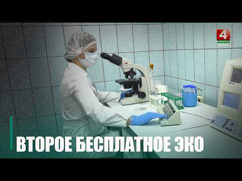 В Беларуси вторую попытку ЭКО теперь можно сделать бесплатно