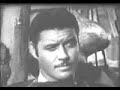 El Zorro - The Zorro El Zorro - The Zorro