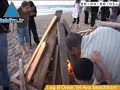 صور بلا كلام