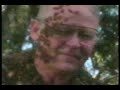 killer-bees.html