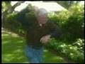 Attack of Killer Bees!!