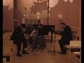 Beethoven Serenade for flute, violin, viola 2mv. (D.Varelas)