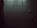 Demo Light 2 - led, smoke en falcon