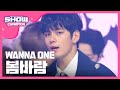 Show Champion EP.294 Wanna One - Spring Breeze