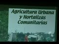 David Holmgren - Curso de Permacultura en México #8
