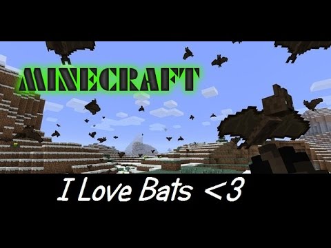 how to love bats