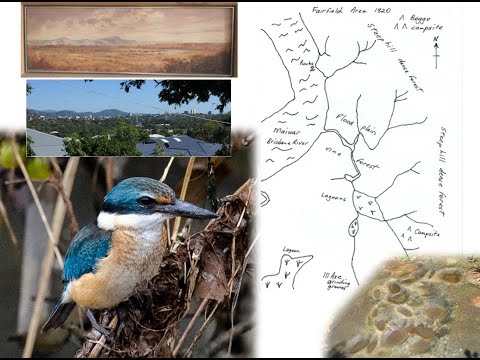 <p>A Bird’s Eye View of the History of Fairfield, 4103, Queensland</p>
 video thumbnail