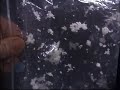 Particle Agglomeration in Microgravity