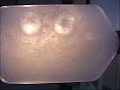 Particle Agglomeration in Microgravity