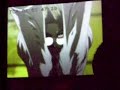 Hellsing OVA 4 Dub 6 (Poor Quality)