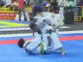 vanessa porto x carina damm by x combat