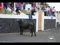 Bull # 52 \"Emmediate Danger\" 2 Part