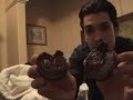 Black Sapote in Mexico