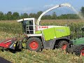 Claas jaguar 870 - PASTONE mais 2008 (video 3)