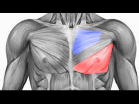 how to build lower chest