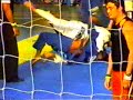 Alexandre Martins Shimewaza Alexandre Martins Shimewaza