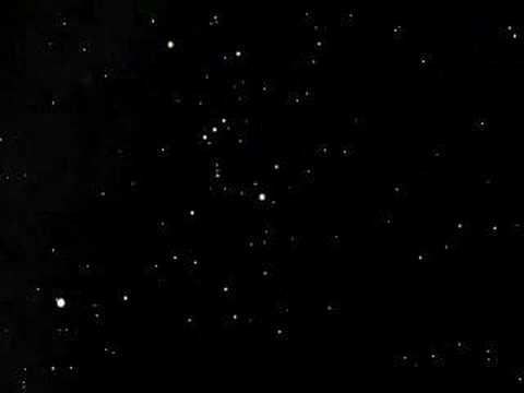 Astronomy - Orion