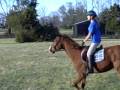 videos de Morgan and General