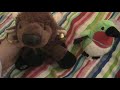 I Adopted 3 Webkinz Today!!