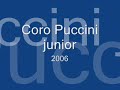 L'orchestra - coro Puccini junior