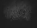 Blair Witch Project Remake -Vigie- Blair Witch Project Remake -Vigie-