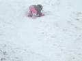 videos de Picture 075
