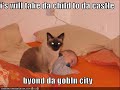 LOLCatz at the MOVIES! LOLCatz at the MOVIES!