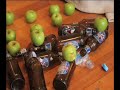 300 Spartan Apples