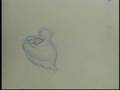 Meow Assignment